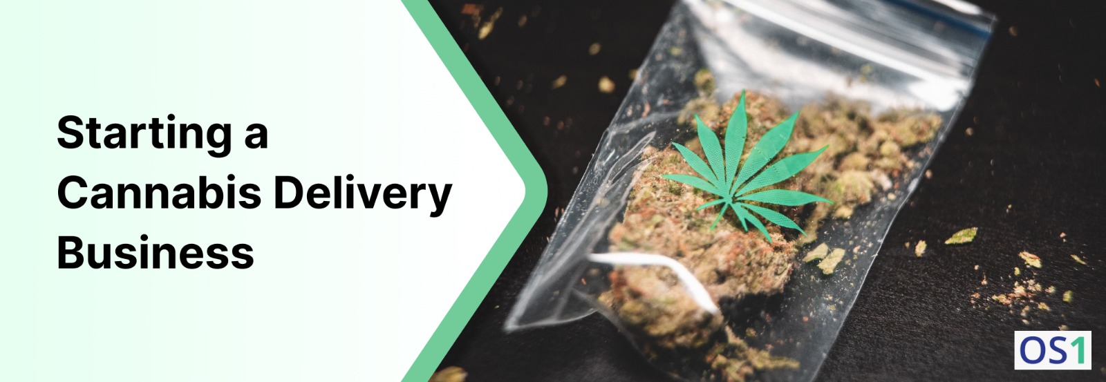 Cannabis Delivery Market 